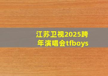 江苏卫视2025跨年演唱会tfboys