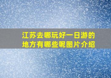 江苏去哪玩好一日游的地方有哪些呢图片介绍