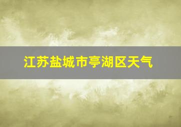 江苏盐城市亭湖区天气