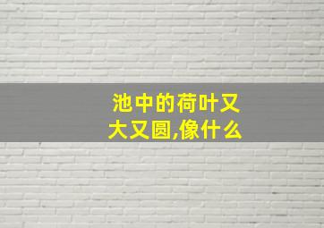 池中的荷叶又大又圆,像什么