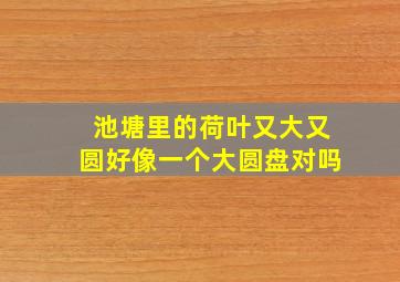 池塘里的荷叶又大又圆好像一个大圆盘对吗