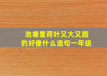 池塘里荷叶又大又圆的好像什么造句一年级