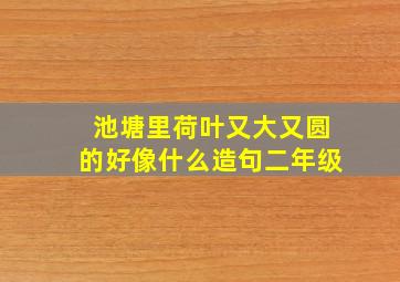 池塘里荷叶又大又圆的好像什么造句二年级