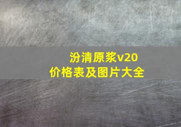 汾清原浆v20价格表及图片大全