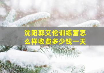 沈阳郭艾伦训练营怎么样收费多少钱一天