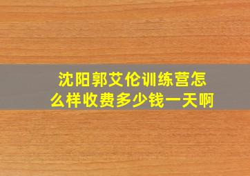 沈阳郭艾伦训练营怎么样收费多少钱一天啊