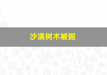 沙漠树木被毁