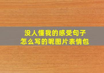 没人懂我的感受句子怎么写的呢图片表情包