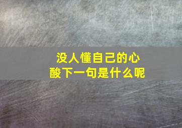 没人懂自己的心酸下一句是什么呢