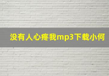 没有人心疼我mp3下载小何