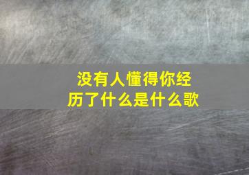 没有人懂得你经历了什么是什么歌