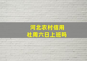 河北农村信用社周六日上班吗