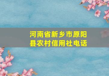 河南省新乡市原阳县农村信用社电话