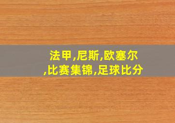 法甲,尼斯,欧塞尔,比赛集锦,足球比分