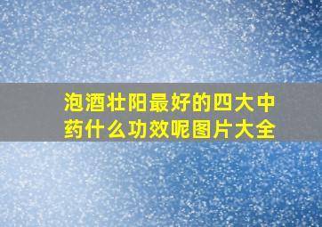 泡酒壮阳最好的四大中药什么功效呢图片大全