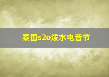 泰国s2o泼水电音节