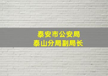 泰安市公安局泰山分局副局长