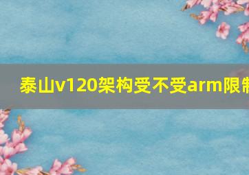 泰山v120架构受不受arm限制