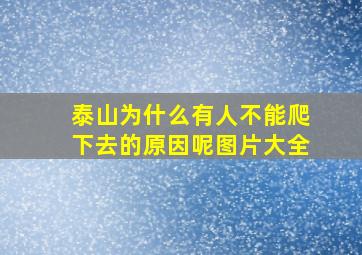 泰山为什么有人不能爬下去的原因呢图片大全