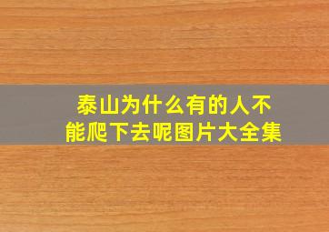 泰山为什么有的人不能爬下去呢图片大全集