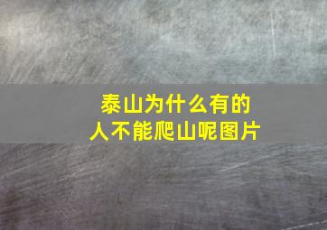 泰山为什么有的人不能爬山呢图片