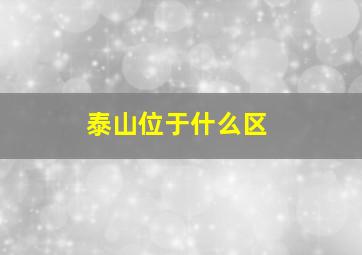 泰山位于什么区