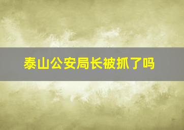 泰山公安局长被抓了吗