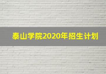 泰山学院2020年招生计划