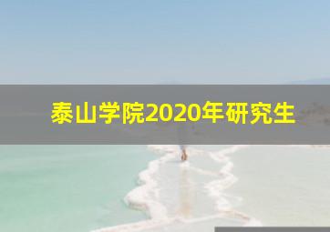 泰山学院2020年研究生