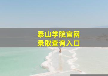 泰山学院官网录取查询入口