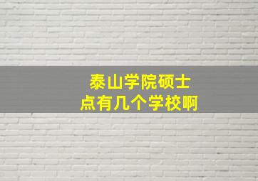 泰山学院硕士点有几个学校啊