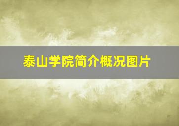 泰山学院简介概况图片