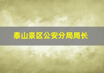 泰山景区公安分局局长