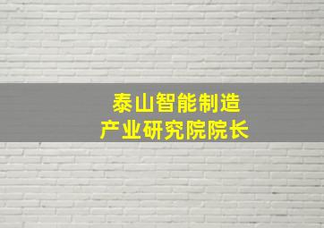 泰山智能制造产业研究院院长