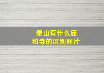 泰山有什么庙和寺的区别图片