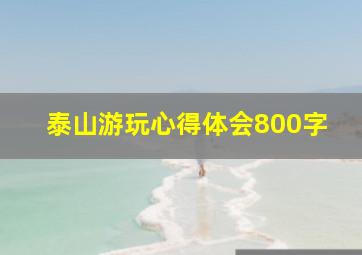 泰山游玩心得体会800字