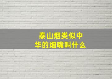 泰山烟类似中华的烟嘴叫什么