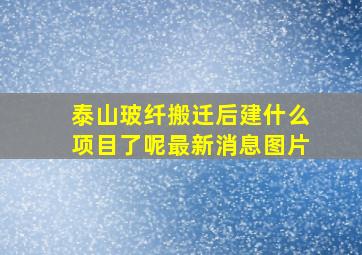 泰山玻纤搬迁后建什么项目了呢最新消息图片