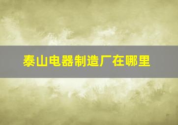 泰山电器制造厂在哪里