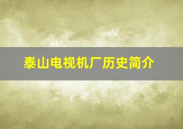 泰山电视机厂历史简介