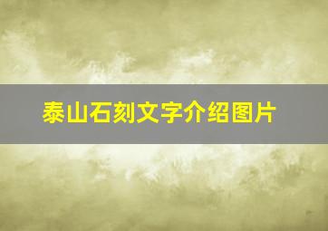 泰山石刻文字介绍图片