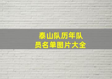 泰山队历年队员名单图片大全