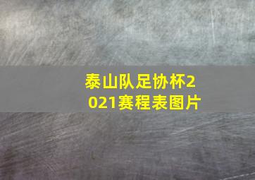 泰山队足协杯2021赛程表图片