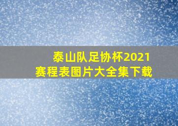 泰山队足协杯2021赛程表图片大全集下载