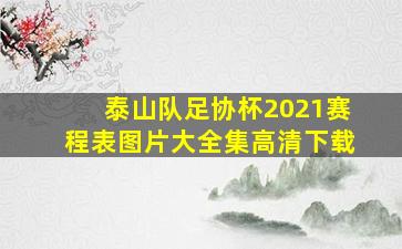 泰山队足协杯2021赛程表图片大全集高清下载