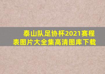 泰山队足协杯2021赛程表图片大全集高清图库下载