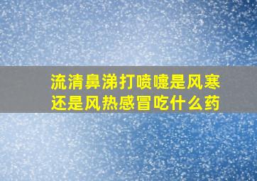 流清鼻涕打喷嚏是风寒还是风热感冒吃什么药