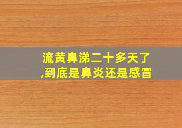 流黄鼻涕二十多天了,到底是鼻炎还是感冒