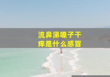 流鼻涕嗓子干痒是什么感冒