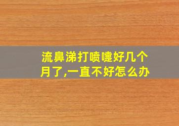 流鼻涕打喷嚏好几个月了,一直不好怎么办